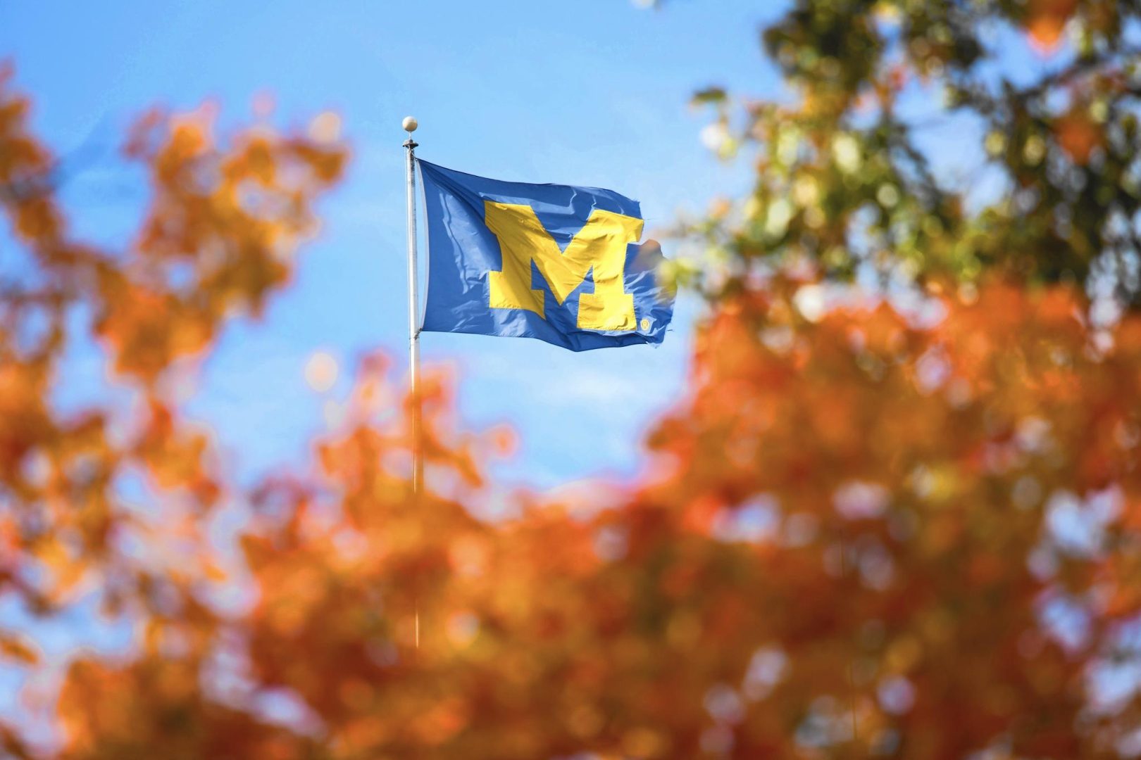 interior banner image